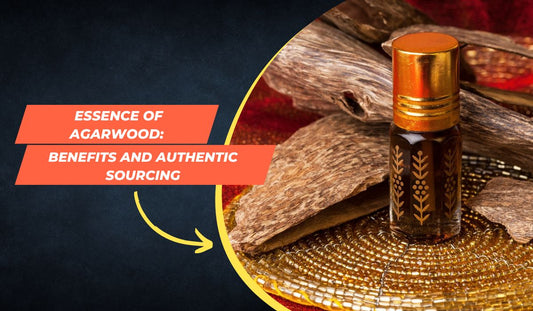 Essence of Agarwood: Benefits and Authentic Sourcing