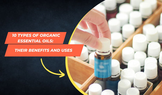 10 Types of Organic Essential Oils: Their Benefits and Uses