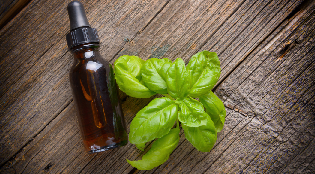 Basil Essential Oil uses and health Benefits