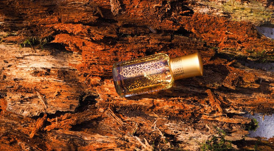 What is Oud and What Makes it Special?