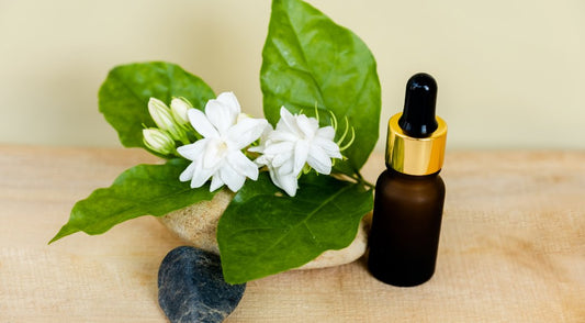 Origin & Types of Jasmine Attar & Jasmine Essential Oil - Jain Super Store